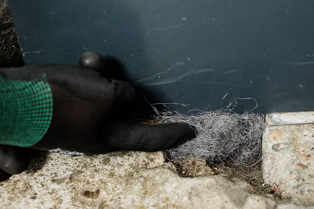 Presser de la laine d'acier contre des souris