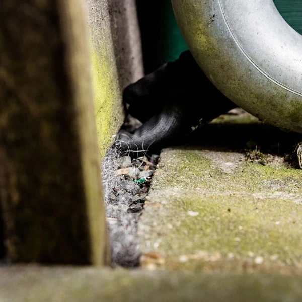 Laine acier Souris & Rat STOP - 200 g